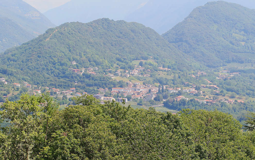 Con il solstizio di Estate si apre una nuova stagione che culminerà con la vendemmia