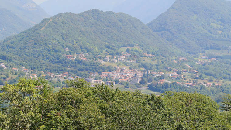 Con il solstizio di Estate si apre una nuova stagione che culminerà con la vendemmia