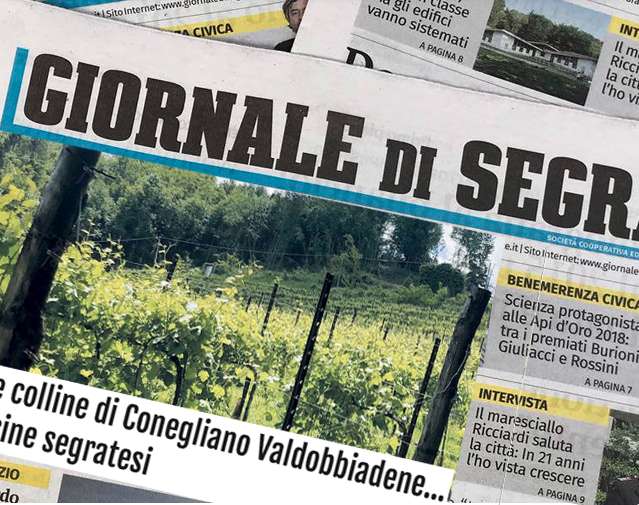 Intervista a Luca De Ponti sul giornale di Segrate