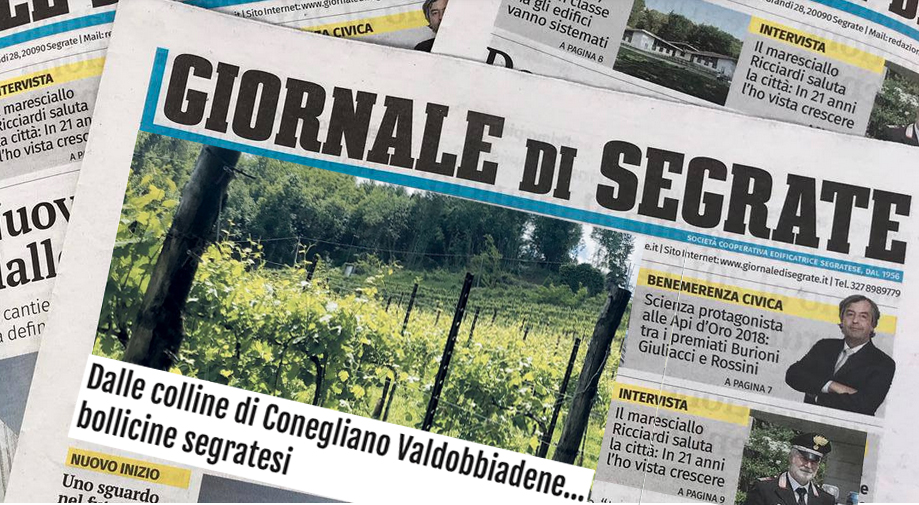 Intervista a Luca De Ponti sul giornale di Segrate